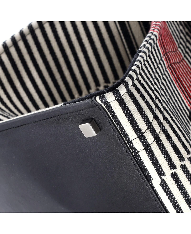 Pre-Owned Celine Medium Phantom Bag Striped Canvas