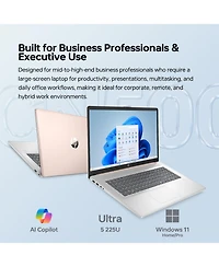 Hp Essential 17.3" Traditional Laptop Intel Core Ultra 5 64GB Ram Intel Graphics 2TB Ssd Storage Windows 11 Pro 60Hz