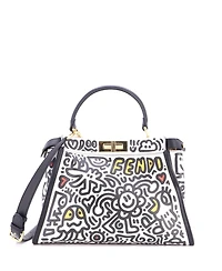 Pre-Owned Fendi Regular x Mr. Doodle Peekaboo Iconic Bag Printed Leather