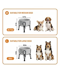 Aronkl Elevated Dog Ceramic Bowl Set 2 Pack with Anti-slip Non-tip Metal Stand for Dogs Food Water Feeding