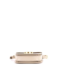 Pre-Owned Celine Triomphe Besace Clea Flap Bag Leather