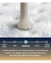 Serta Perfect Sleeper Cascade Range 14" Medium Tight Top Mattress