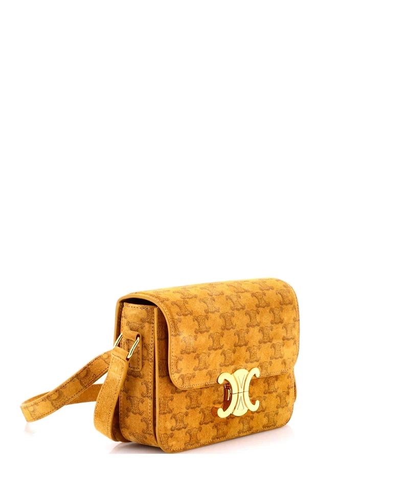 Pre-Owned Celine Teen Triomphe Shoulder Bag Triomphe Suede