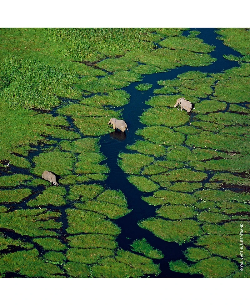 Guerlain Aqua Allegoria Granada Salvia Eau de Toilette