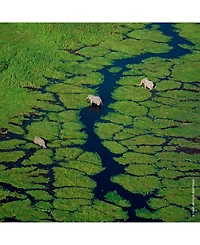 Guerlain Aqua Allegoria Granada Salvia Eau de Toilette