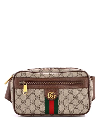 Pre-Owned Gucci Medium Ophidia Belt Bag Gg Coated Canvas