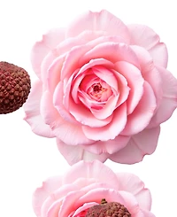 Parfums de Marly Delina Body Oil, 3.4 oz.