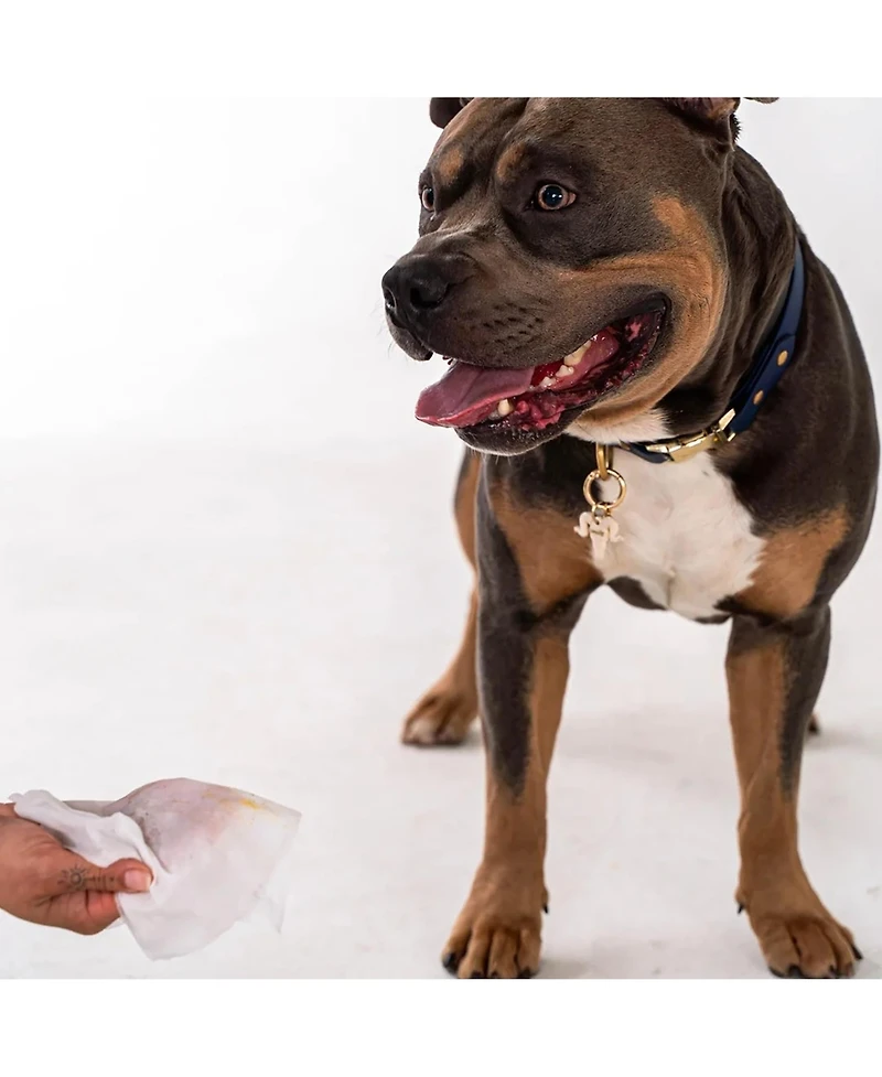 Dexypaws Pet Wipes: Oatmeal & Vitamin E