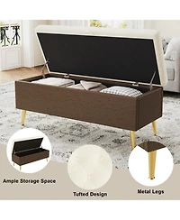 Rainsken Modern Storage Ottoman Bench