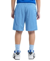 Nike Little Boys Dri-fit Logo Mesh Pull-On Shorts
