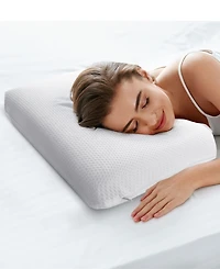 Cheer Collection Memory Foam Pillow