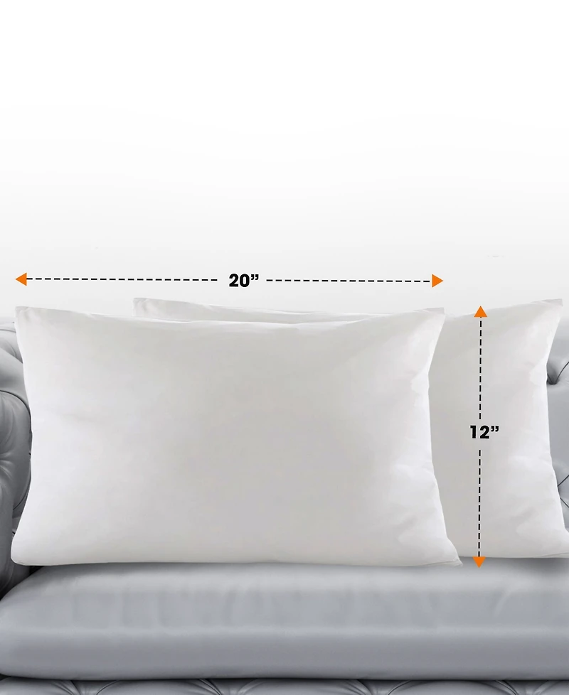 Cheer Collection 95% Feather/5% Down 2-Pack Pillow Inserts