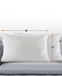 Cheer Collection 95% Feather/5% Down 2-Pack Pillow Inserts