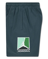 Jordan Boys' 8-20 Pull-On Mesh Shorts