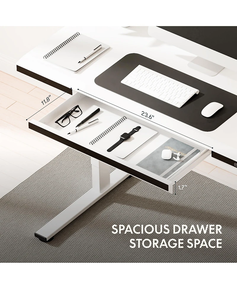 FlexiSpot ED2 48"W Electric Adjustable Standing Desk, White (ED2W-e