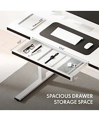 FlexiSpot ED2 48"W Electric Adjustable Standing Desk, White (ED2W-e