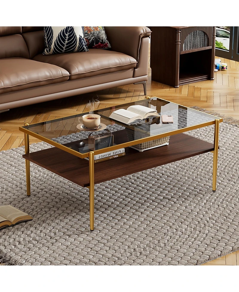 Rainsken Rectangle 2 Tier Coffee Table, Center Table with Tempered Glass Top and Wood Storage Shelf for Living Room and Small Space