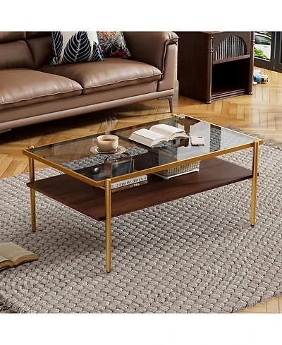 Rainsken Rectangle 2 Tier Coffee Table, Center Table with Tempered Glass Top and Wood Storage Shelf for Living Room and Small Space