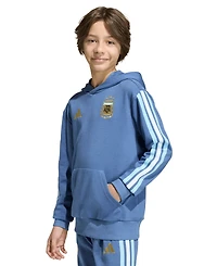 adidas Big Boys' and Girls' Argentina Dna Hoodie