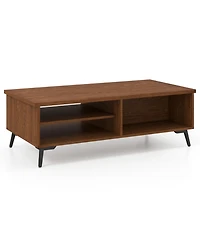 Gouun 47 in Mid-Century 2-Tier Coffee Table with Shelves and Compartments