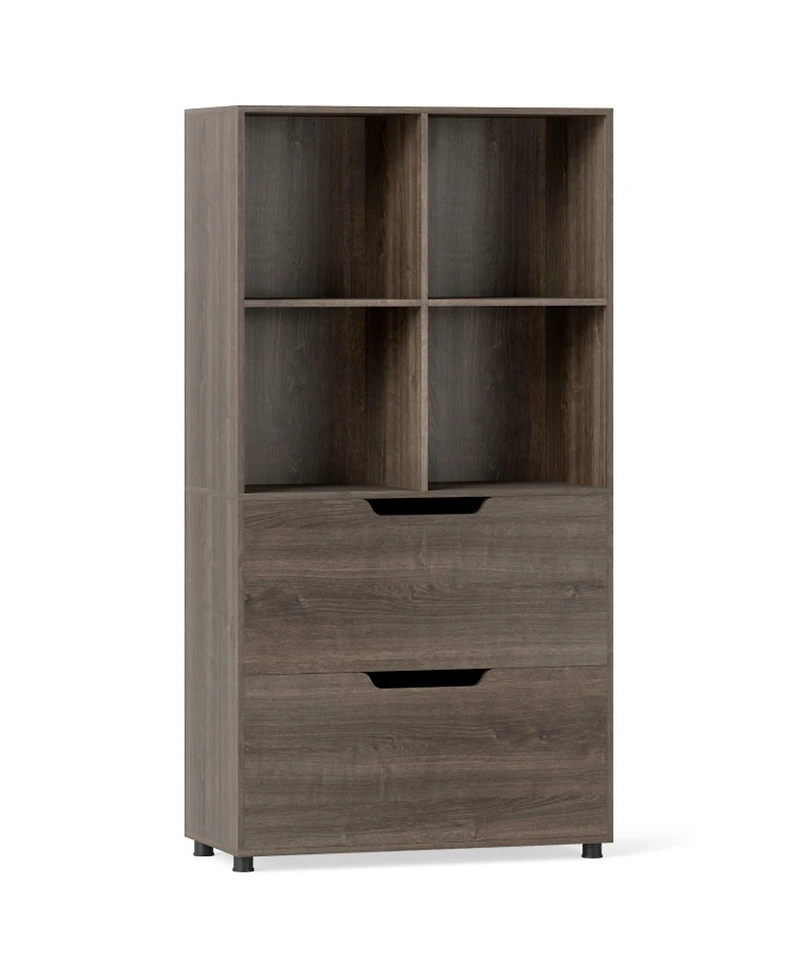 Gouun 4-Cube Bookcase with 2 Drawers and 51-Inch Tall Frame