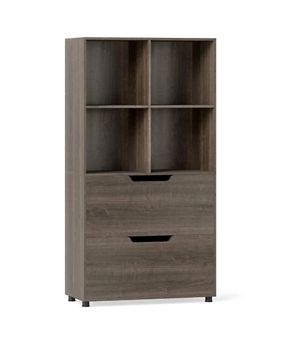 Gouun 4-Cube Bookcase with 2 Drawers and 51-Inch Tall Frame