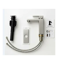 Busdays Single Handle Bathroom Faucet Lavatory Faucet Stainless Steel Single Hole-T20, Brushed Nickel