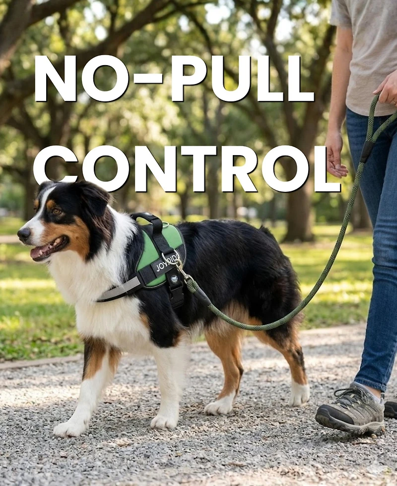 ProMounts Side Ring No Pull Dog Harness