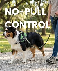 ProMounts Side Ring No Pull Dog Harness