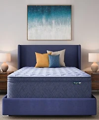 Serta Dream Haven 16 Plush Pillow Top Mattress In A Box Collection