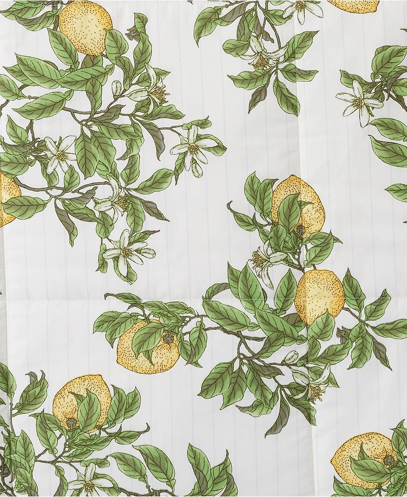 Lands' End 300 Thread Count Cotton Smooth Percale Printed Comforter