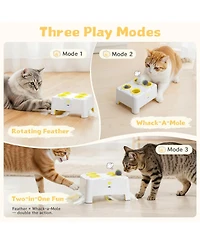 Aronkl Cheese Box Interactive Cat Toy 3-in-1 Whack A Mole 3 Modes Rechargeable Auto 4 Holes Accessories