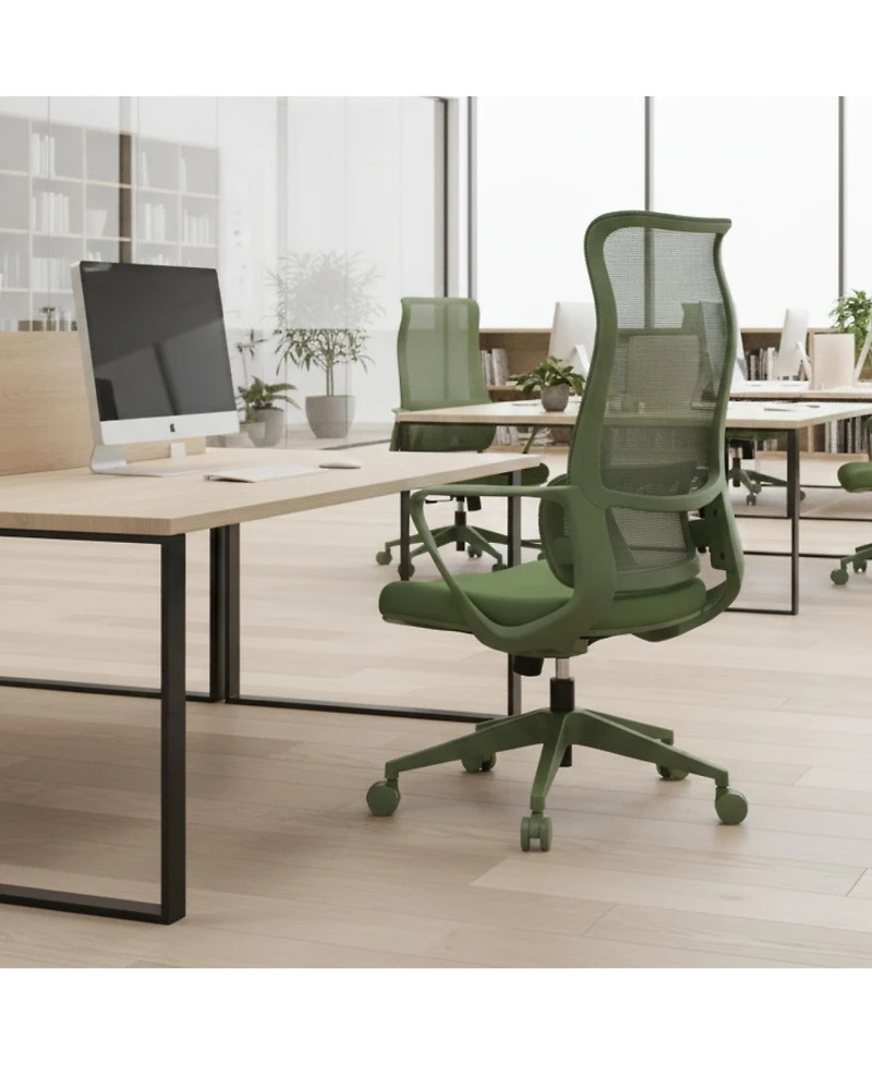 Rainsken Ergonomic Computer Chair