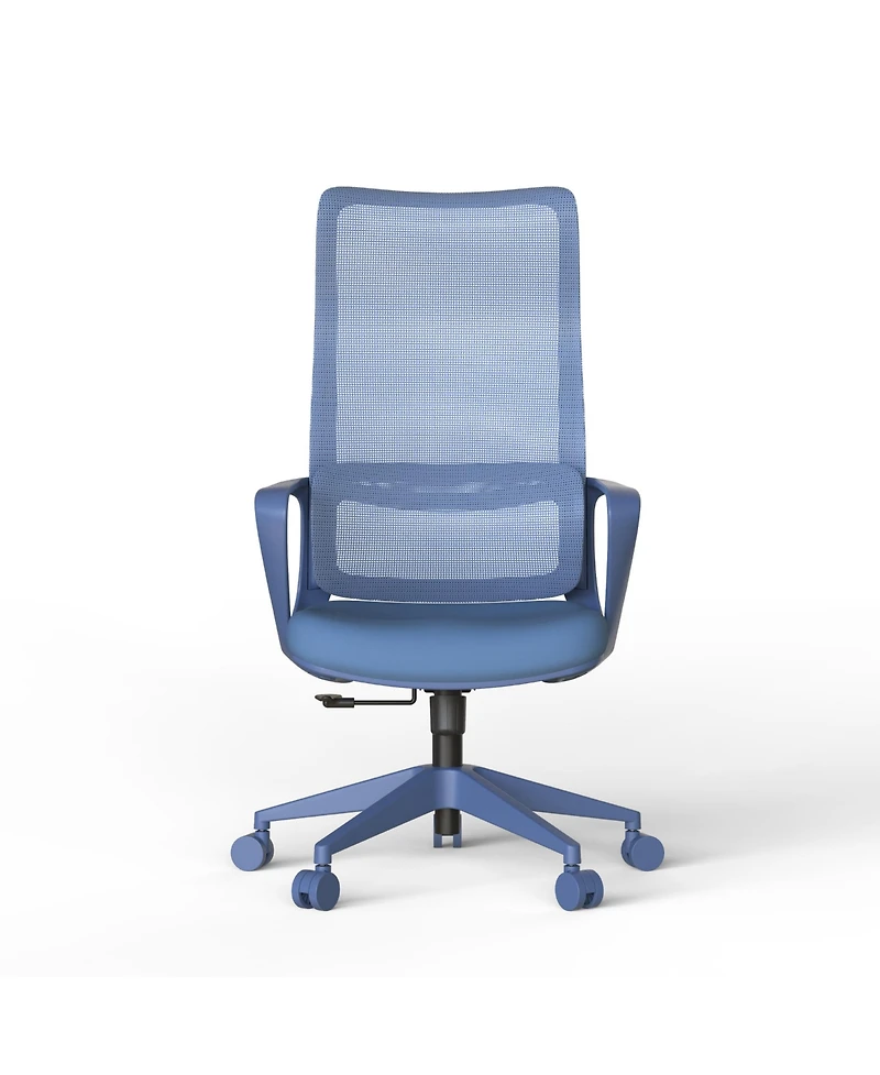 Rainsken Home Office Desk Chair Featuring Breathable Mesh High Back, Adjustable Lumbar Support and Soft Foam Cushion for Study Room