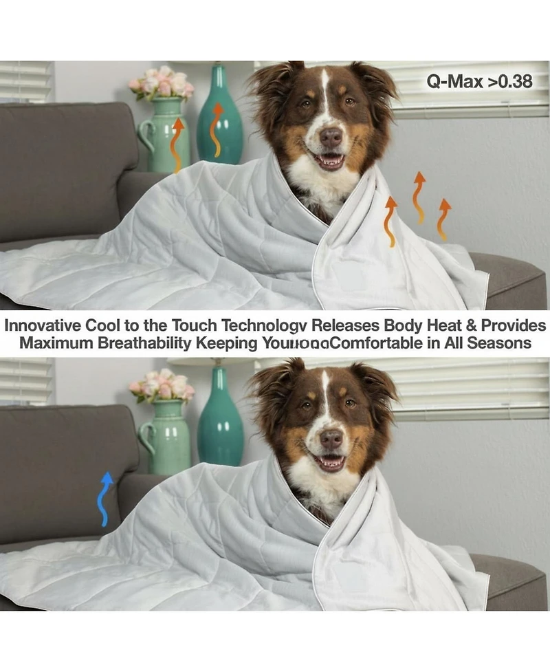 Aronkl Lightweight Pet Blanket Machine Washable Multiple Sizes for Cats Dogs All Seasons