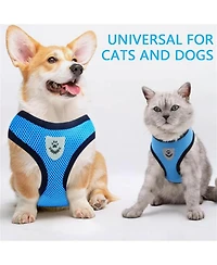 Zeus and Ruta Cat Harness with Adjustable Control Vest, Reflective Straps,and Matching Leash