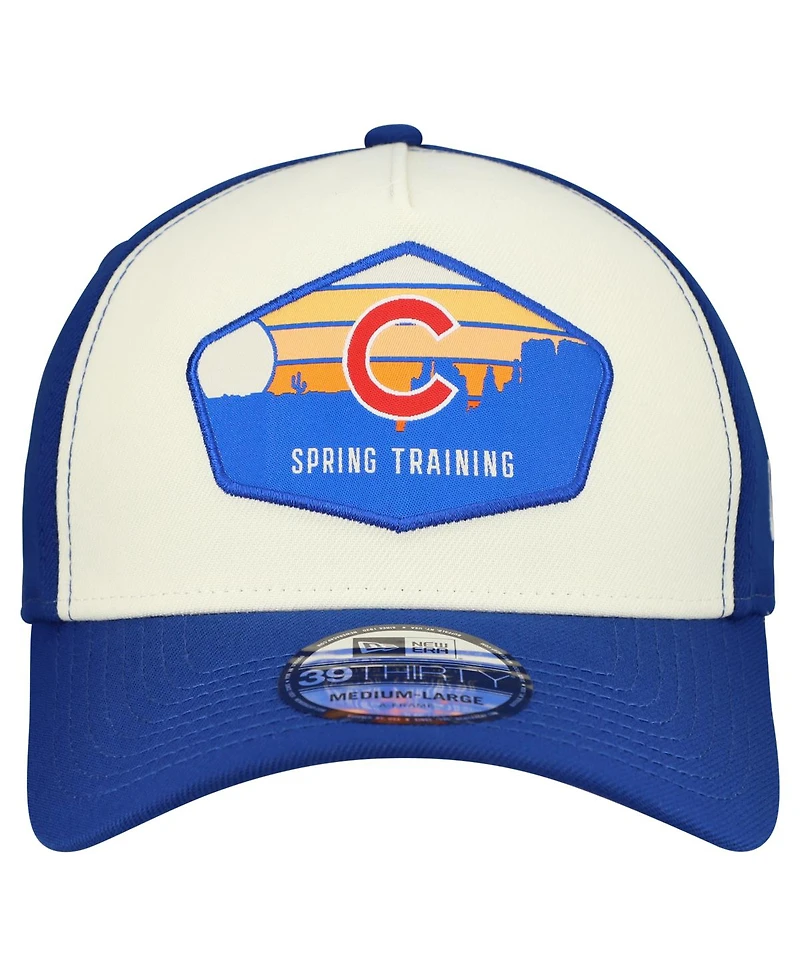 New Era Men's Stone/Royal Chicago Cubs 2026 Spring Training Fan Pack Gradient 39THIRTY Flex Hat