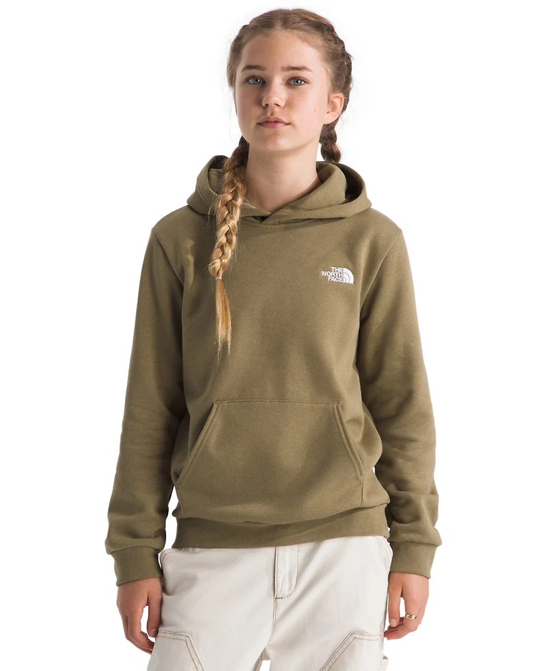 The North Face Big Boys' and Girls' Evolution Simple Dome Pullover Hoodie