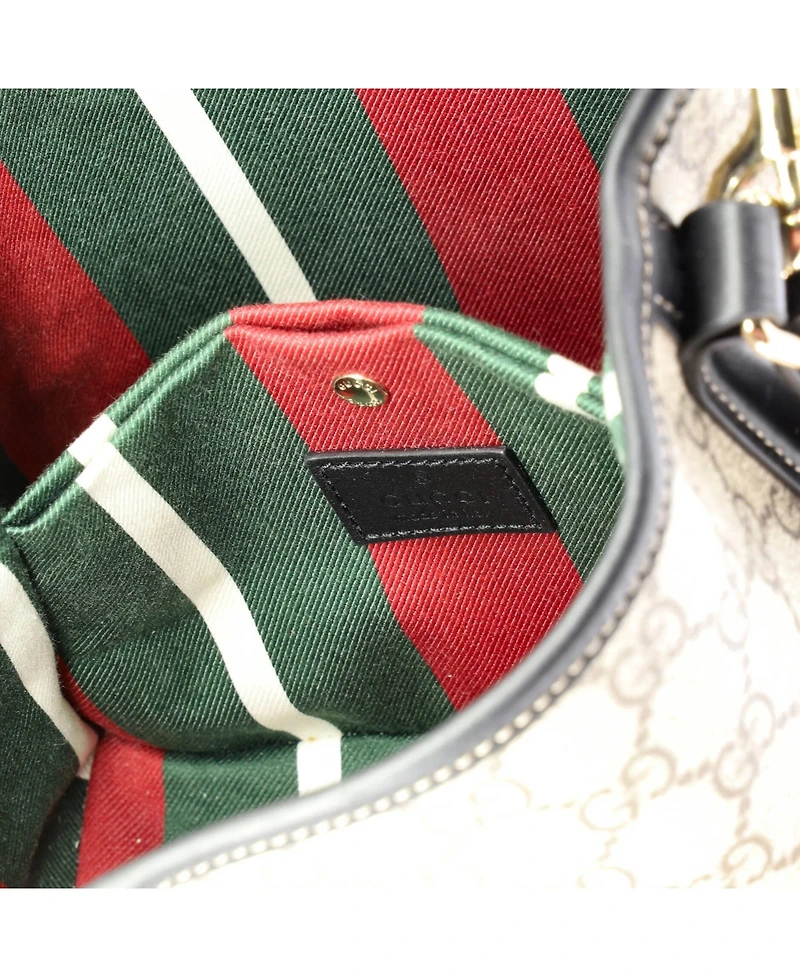 Pre-Owned Gucci Small Gg Emblem Bucket Bag Gg Coated Canvas