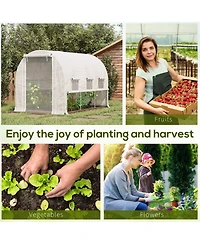 Outsunny 9.7' x 6.5' x 6.5' Walk-in Tunnel house with Mesh Door