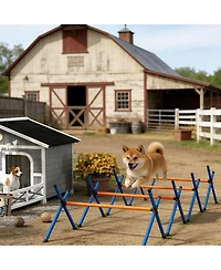 Aostirmotor Pet Agility Training Equipment, Dog Agility Course Set for Backyard, Complete Obstacle Course Kit with Tunnels and Hurdles