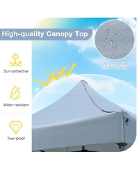 Mecale 10x10 ft Pop-Up Canopy Gazebo with Wheeled Carry Bag