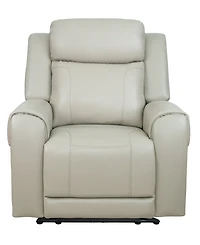 Avet Leather 41.25" Power Motion Recliner