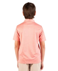Tailorbyrd Boys Melange Mesh Performance Polo