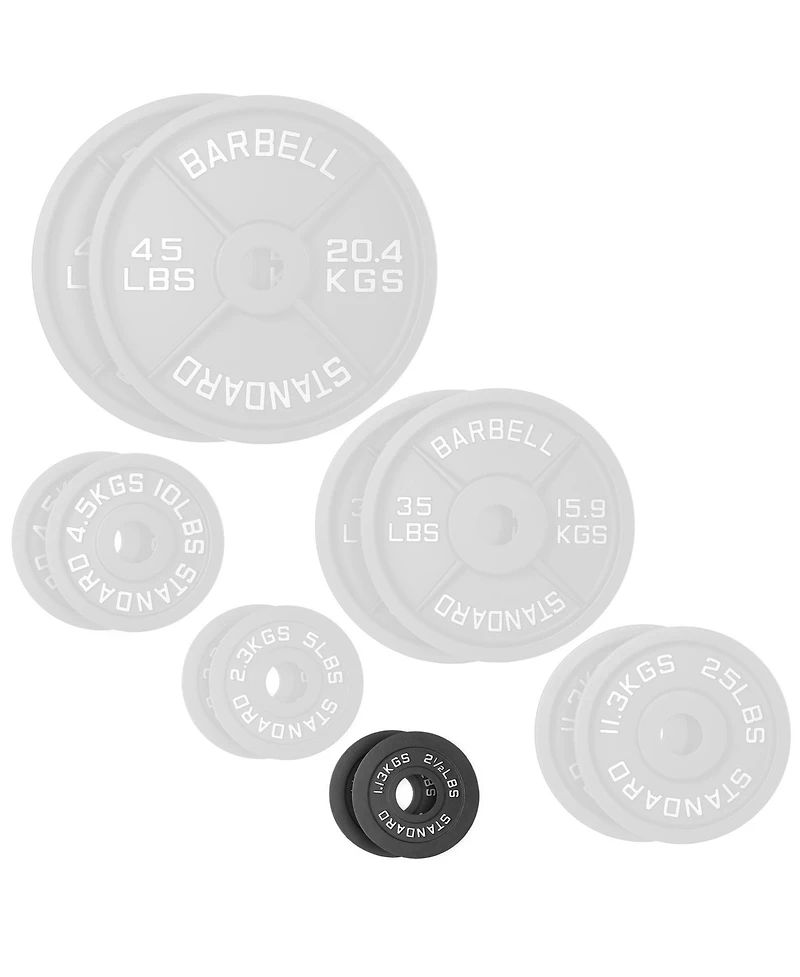 Philosophy Gym Set of 2 Standard Cast Iron Olympic 2-inch Weight Plates ( Lb each