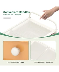 Gouun 12-Drawer Rolling Organizer Cart with 4 Large and 8 Medium Pp Drawers