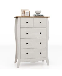 Gouun Closet Storage Organizer with 5 Folding Fabric Drawers and Anti-tipping Kit