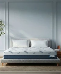 Noctua Tern 12 Hybrid Cushion Firm Tight Top Mattress In A Box Collection