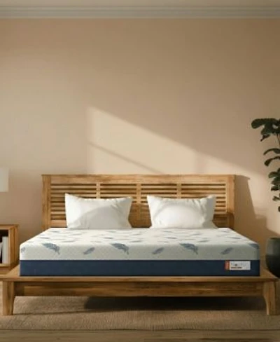 Noctua Wren 12 Zoned Hybrid Extra Firm Tight Top Mattress In A Box Collection