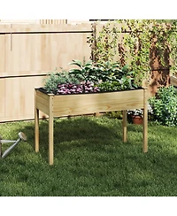 Gouun 47-Inch Raised Vegetable Garden Bed with Drainage Holes